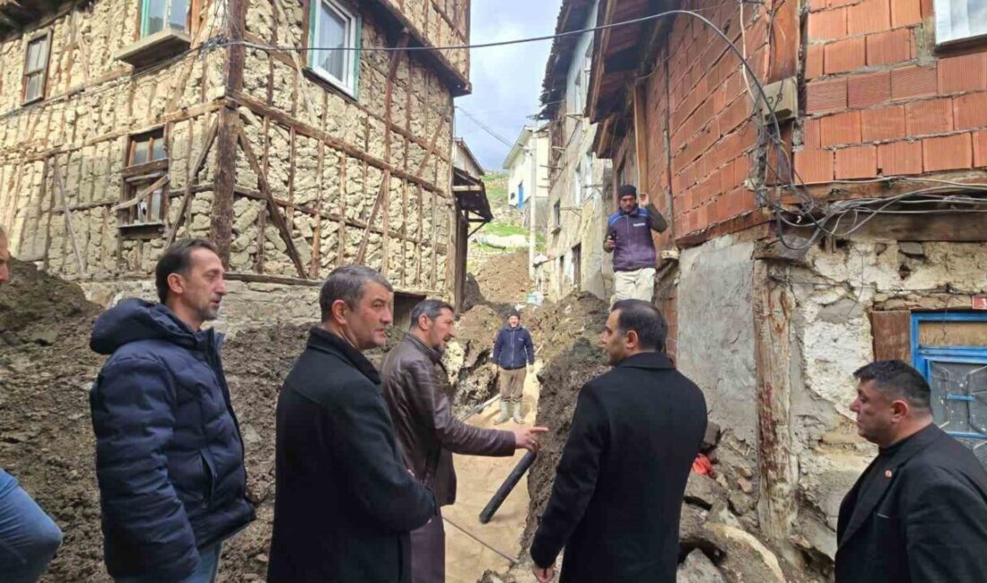 Bilecik’in Söğüt ilçesine bağlı köylerde yürütülen çalışmalar Söğüt Kaymakamı Murat
