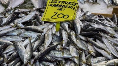 Kocaeli’de geçtiğimiz günlerde etkili olan olumsuz hava şartları nedeniyle denize