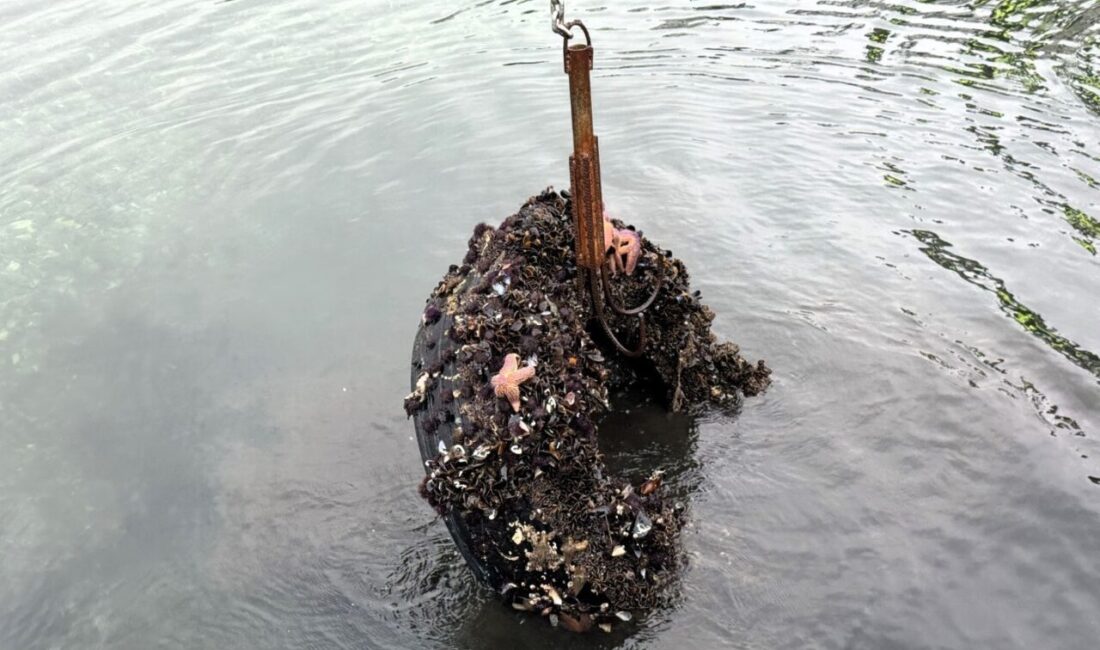 Kocaeli’de Körfez Tütünçiftlik sahilinde gerçekleştirilen dalışta deniz dibinden 50 araç