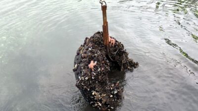 Kocaeli’de Körfez Tütünçiftlik sahilinde gerçekleştirilen dalışta deniz dibinden 50 araç