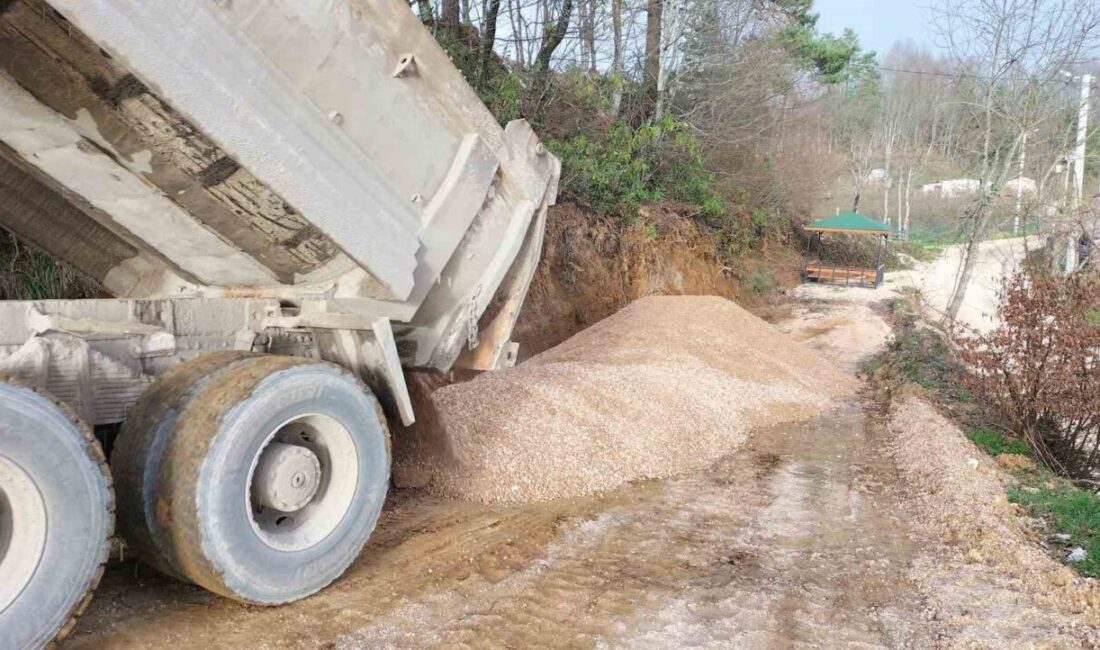 DÜZCE (İHA) – Yığılca İlçe Özel İdaresi Müdürlüğü ekipleri tarafından,