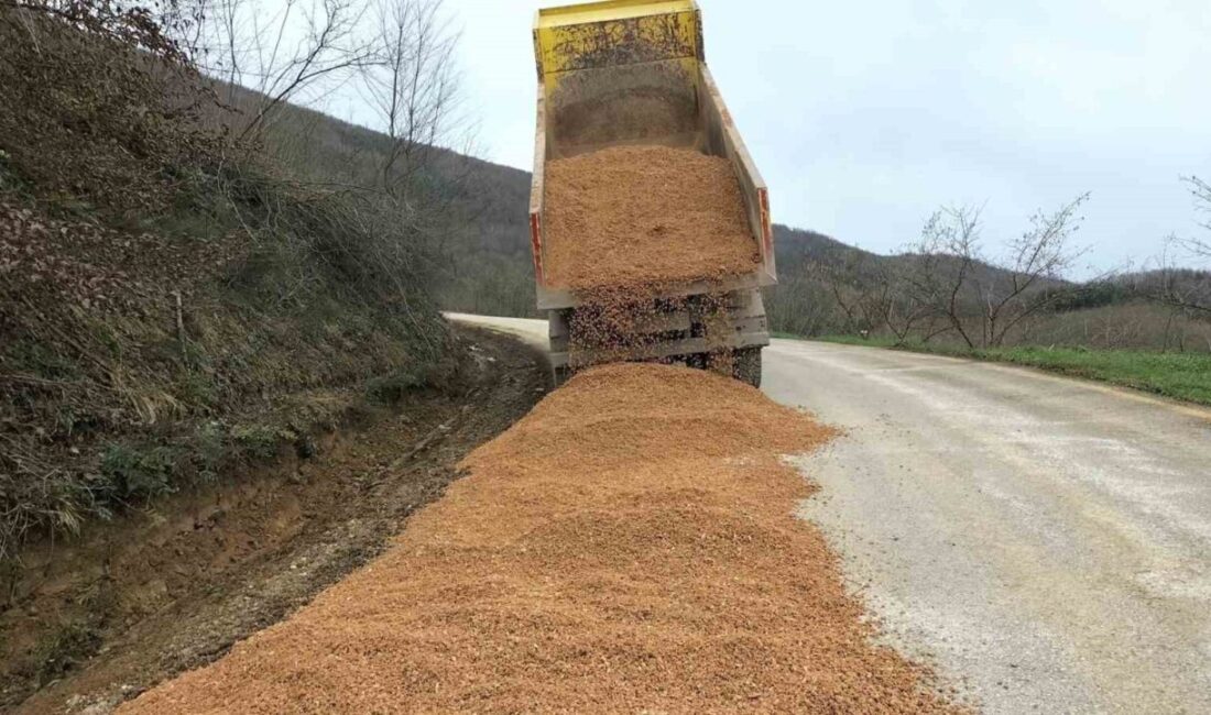 DÜZCE (İHA) – Yığılca İlçe Özel İdare Müdürlüğü ekipleri tarafından