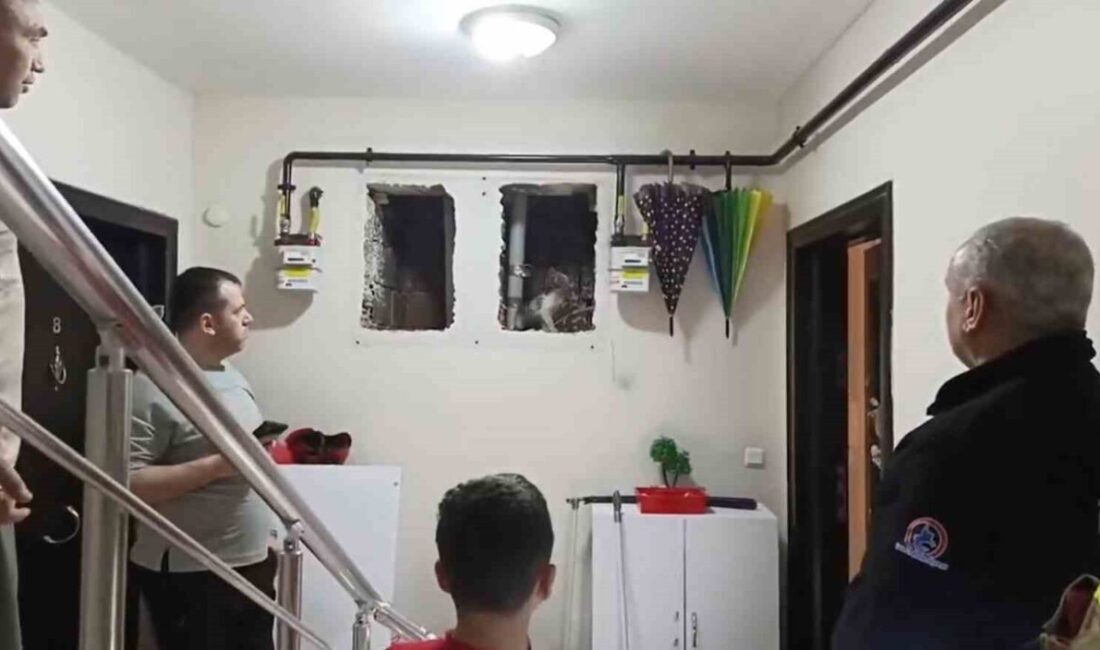 DÜZCE (İHA) – Düzce’de meydana gelen olayda, oynamak için bahçeye