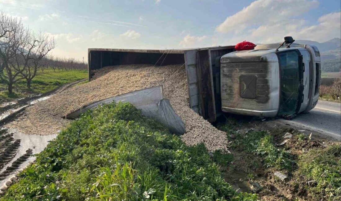Bilecik’te mısır koçanı yüklü çekicinin devrilmesi sonucu meydana gelen trafik