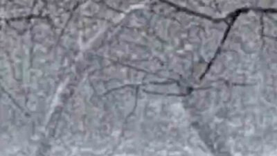 Bolu’nun Mudurnu ilçesinde lapa lapa kar yağışı etkili oldu. Bölgede