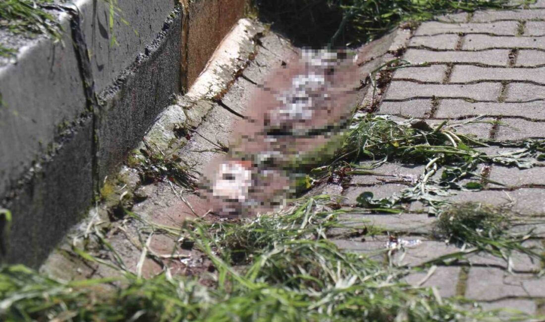 Sakarya’nın Arifiye ilçesinde eşinin tabancayla vurarak öldürdüğü kadının yarın Serdivan