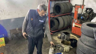 Bolu sanayisinde bir oto servisinde yaşayan “Şıkkıdı” isimli kedi, adeta