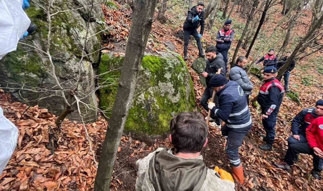 Kocaeli’de kaybolduktan sonra cesedi ormanlık alanda gömülü bulunan Serdar Arslan’ın