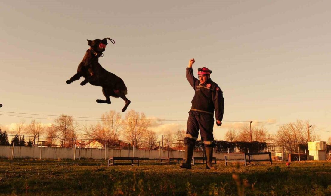 İzmir ve Kahramanmaraş depremlerinde görev alan Sakarya itfaiyesinin K9 ekibi,