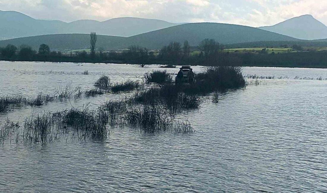 Bilecik’te Sakarya Nehri üzerindeki adacıkta balık tutmak isterken mahsur kalan