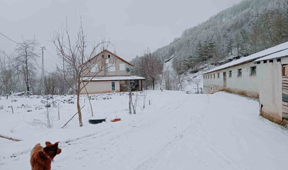 Sakarya’da şehir merkezinde etkili olan soğuk hava ve yağmur, yüksek