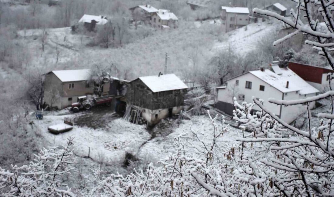 Sakarya’da soğuk hava etkisini artırdı. Yağmurun yerini kar yağışına bırakmasıyla