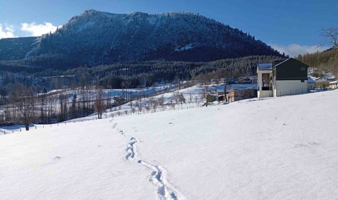 Sakarya’nın yüksek kesimleri, etkili olan kar yağışı sonrasında beyaza büründü.