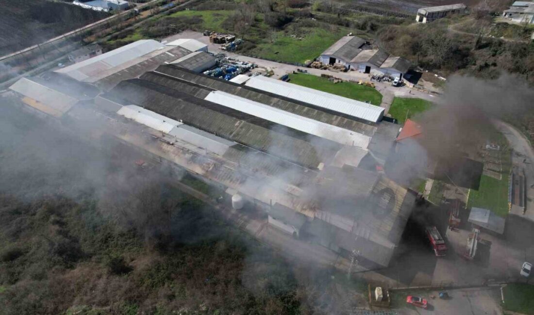 Sakarya’nın Serdivan ilçesinde bulunan şekerleme ve atıştırmalık üretimi yapan Elvan