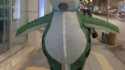 Bilecik’te dün akşam saatlerinde giyilebilir şişme kurbağa kostümüyle caddede dolaşan