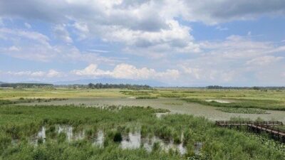 Düzce Üniversitesi Orman Fakültesi Öğretim Üyesi Doç. Dr. Mehmet Özcan