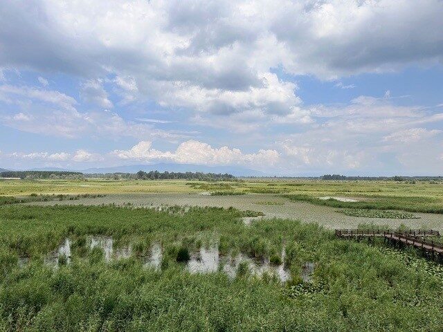 Düzce Üniversitesi Orman Fakültesi Öğretim Üyesi Doç. Dr. Mehmet Özcan