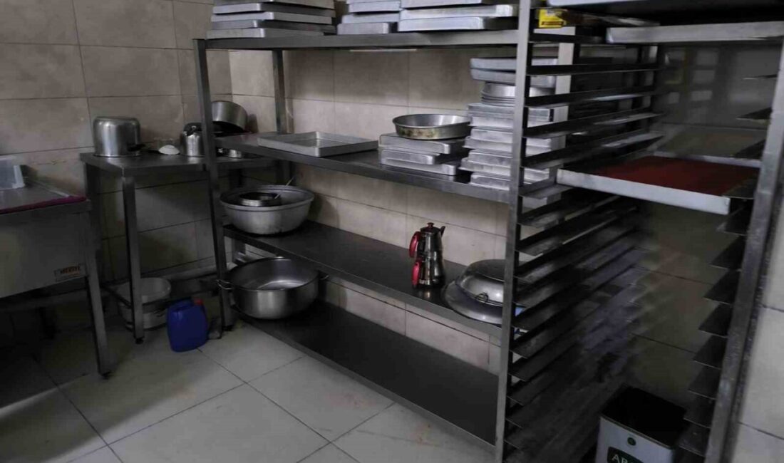 Sakarya’nın Akyazı ilçesinde bir tatlı imalathanesinde kaydedilen görüntüler infial oluşturdu.