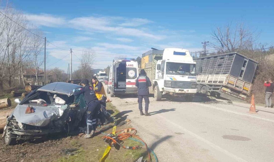 Sakarya’nın Taraklı ilçesinde tır ile kafa kafaya çarpışan otomobilin sürücüsü