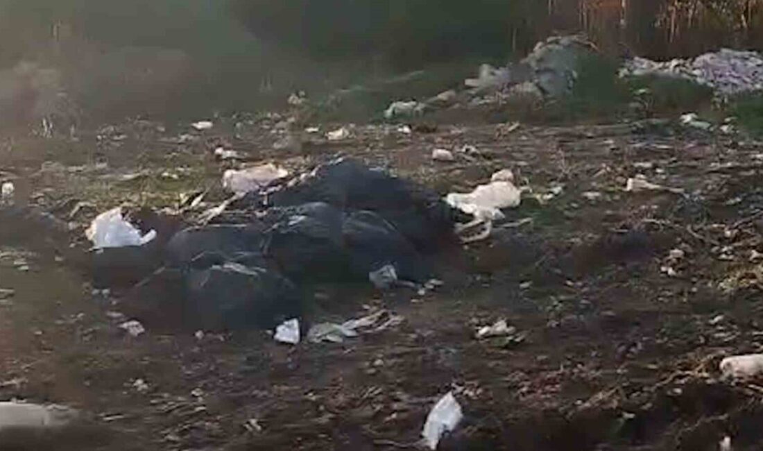 Bolu’da Hamzabey köyünün üst kısmında bulunan ormanlık alanındaki çöp dolu