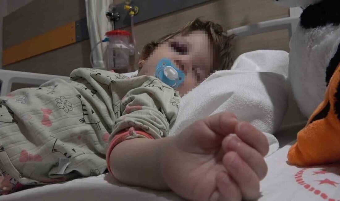 Yalova’nın Çınarcık ilçesinde çocuk gürültüsü nedeniyle aralarında husumet olan komşularının