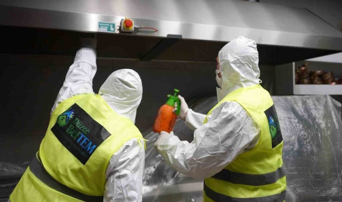 Düzce Belediyesi Temizlik ve Genel Hizmetler Şirketi BELTEM profesyonel baca