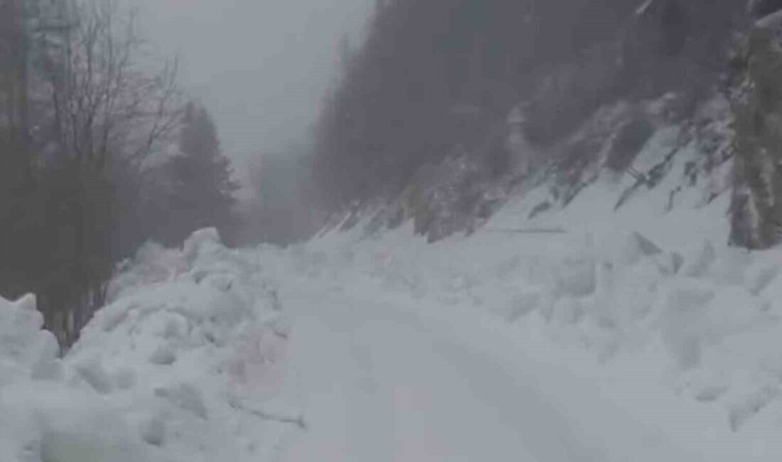 Bolu’da Yedigöller Milli Parkı bölgesinde etkili olan kar yağışı sebebiyle
