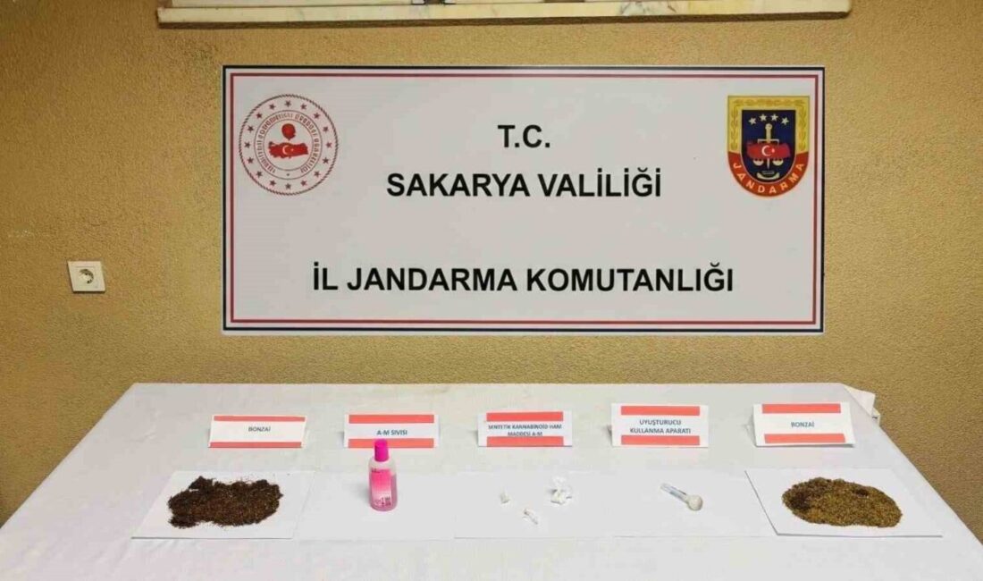Sakarya’nın Akyazı, Adapazarı, Erenler, Hendek, Serdivan ve Karasu ilçelerinde ’torbacı’