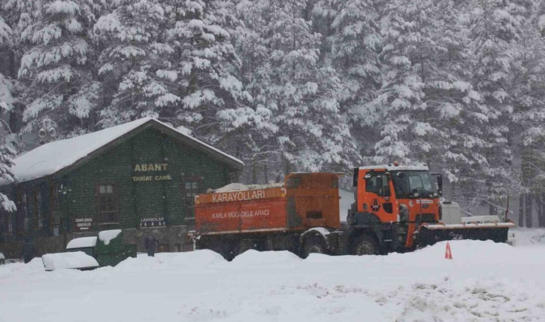 Bolu’nun doğa harikası Abant Gölü Milli Parkı, kar yağışının ardından