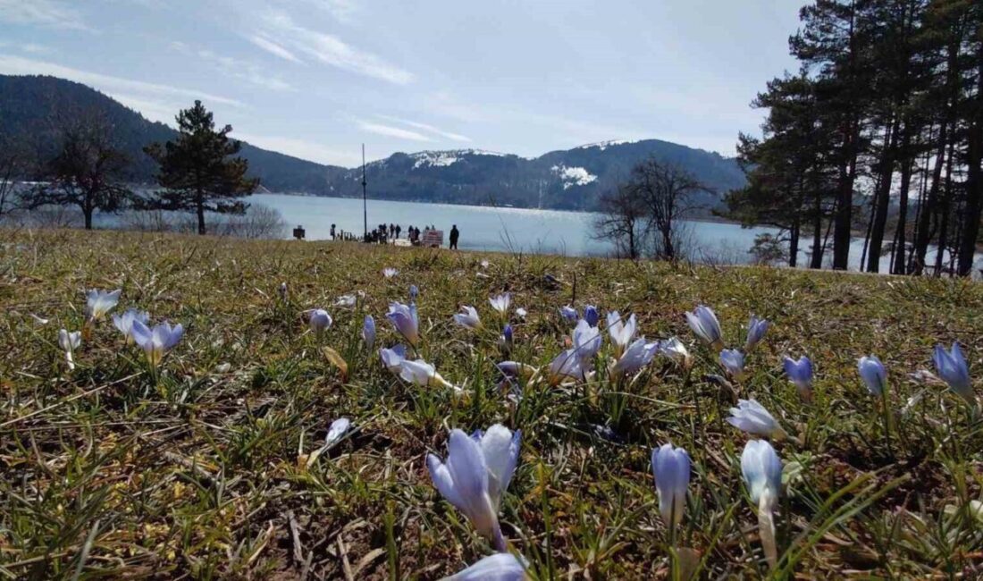 Bolu’nun önemli turizm merkezlerinden olan Abant Gölü Milli Parkı’nda hava