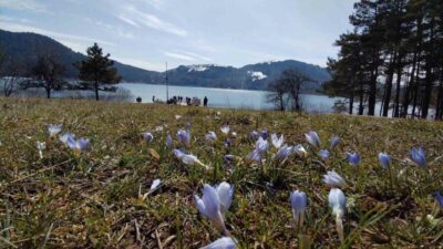 Bolu’nun önemli turizm merkezlerinden olan Abant Gölü Milli Parkı’nda hava