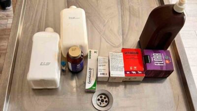 Bilecik’in Bozüyük ilçesinde aç kalan köpeklerin birbirini yediği, birçok köpeğin