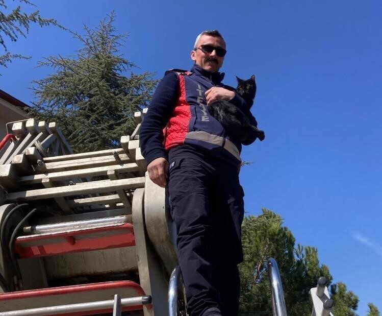 Bilecik’te bir ağaçta mahsur kalan kediyi itfaiye ekipleri kurtardı. Bilecik