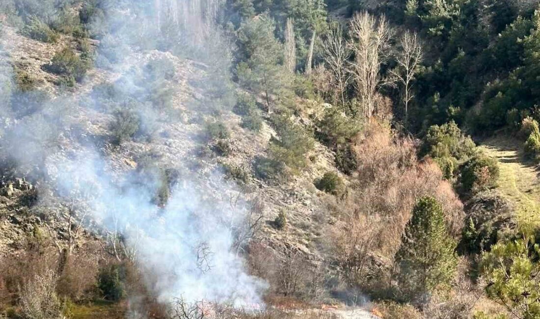 Bilecik’te bir vatandaşın arazisindeki otları temizlik amaçlı yaktı, vatandaşlar orman