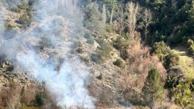 Bilecik’te bir vatandaşın arazisindeki otları temizlik amaçlı yaktı, vatandaşlar orman