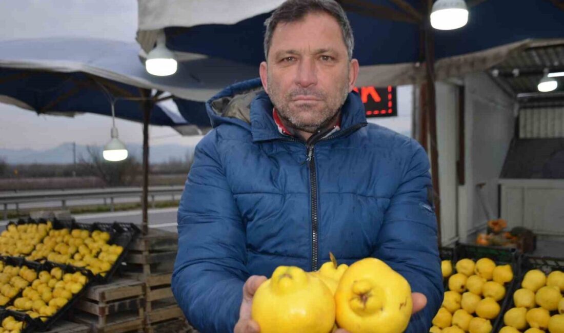 Bilecik’in Osmaneli ilçesinde yoğun olarak yetiştirilen ve günlük tüketimin yası