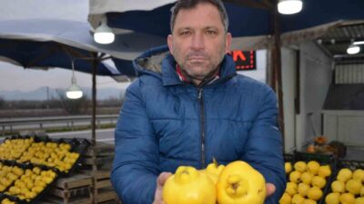 Bilecik’in Osmaneli ilçesinde yoğun olarak yetiştirilen ve günlük tüketimin yası