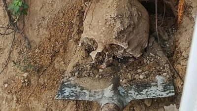 Kocaeli’de kazı yapan vatandaşın bahçesinde insan kafatası ve kemik bulundu.