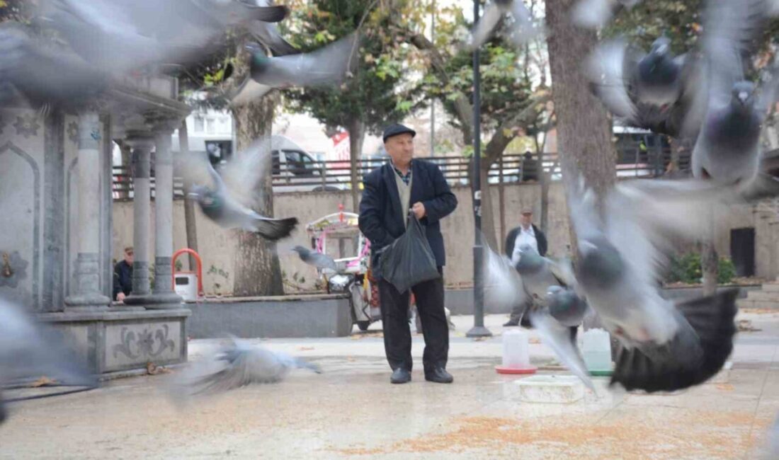 Bilecik’te yaklaşık 2 yıldır Şehitler Parkı’nda inen yaklaşık 300 güvercine