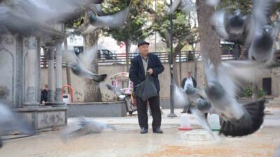 Bilecik’te yaklaşık 2 yıldır Şehitler Parkı’nda inen yaklaşık 300 güvercine