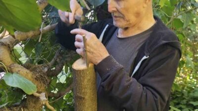 Bilecik’te huzurevinde kalan yaşlılar, yaptıkları çalışmalarla bahçeyi güzelleştiriyor. Bilecik Aile