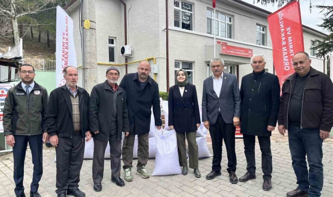 Bilecik’in Gölpazarı ilçesinde üreticilere 5 bin 150 kilogram nohut tohumu