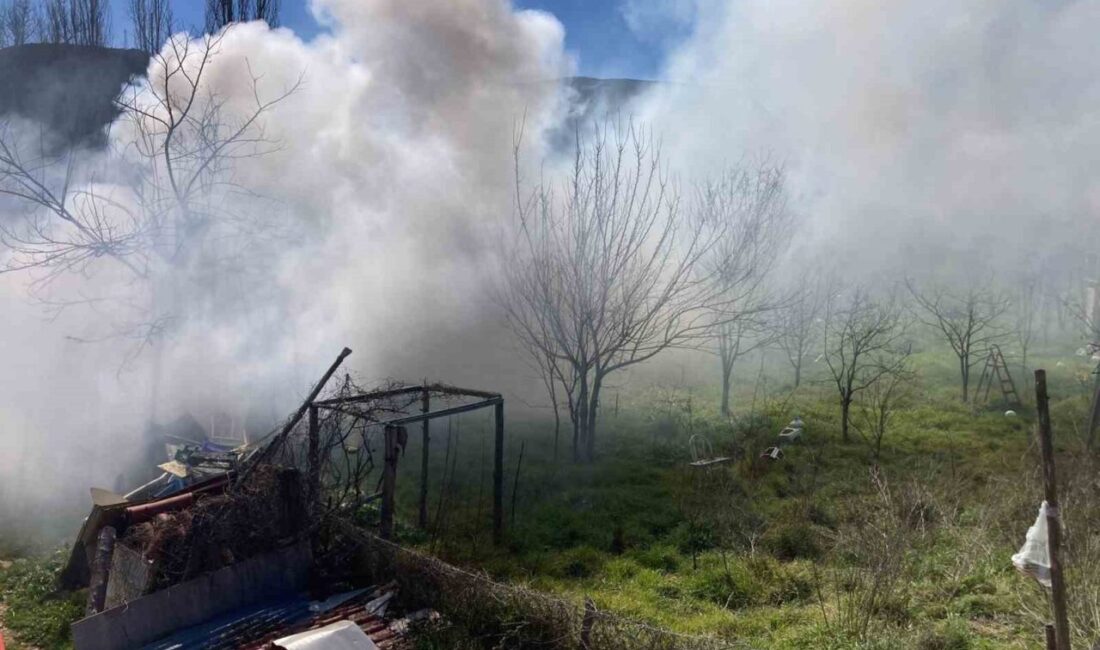 Bilecik’te bir bağ evinde çıkan yangın, itfaiyenin anında müdahalesiyle söndürüldü.