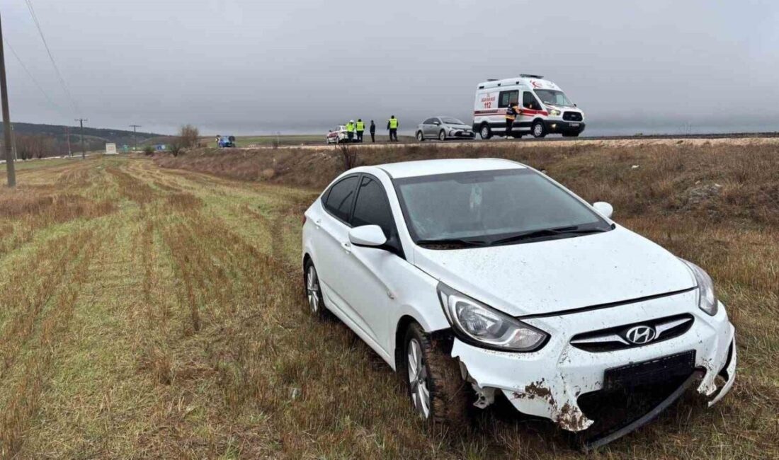 Bilecik’in Söğüt ilçesinde ıslak yol nedeniyle meydana gelen trafik kazasında