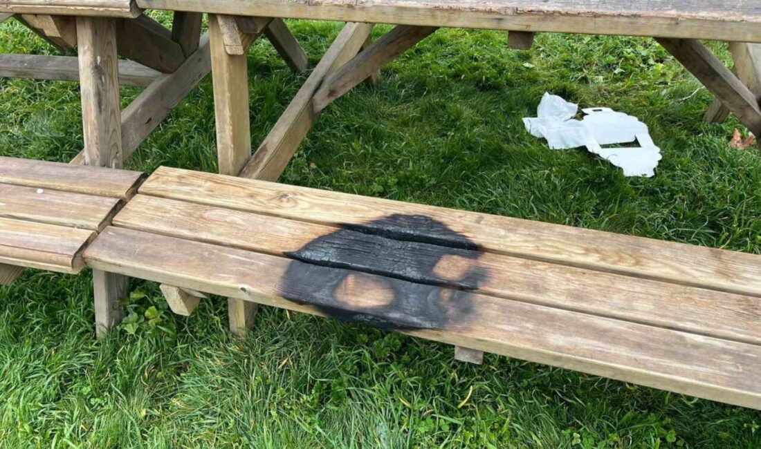 Bilecik’in Söğüt ilçesinde kamu alanlarına verilen zarar tepkilere sebep oldu.