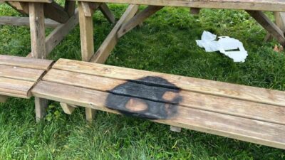 Bilecik’in Söğüt ilçesinde kamu alanlarına verilen zarar tepkilere sebep oldu.