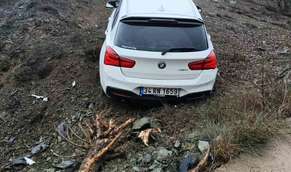 Bilecik’in Söğüt ilçesinde kaygan yol nedeniyle meydana gelen trafik kazasında
