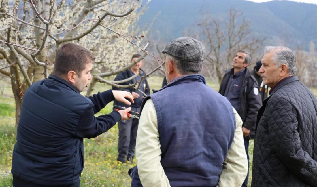 Bilecik’in Bozüyük ilçesine bağlı Kandilli Köyü’nde üreticilere yönelik gübreleme ve