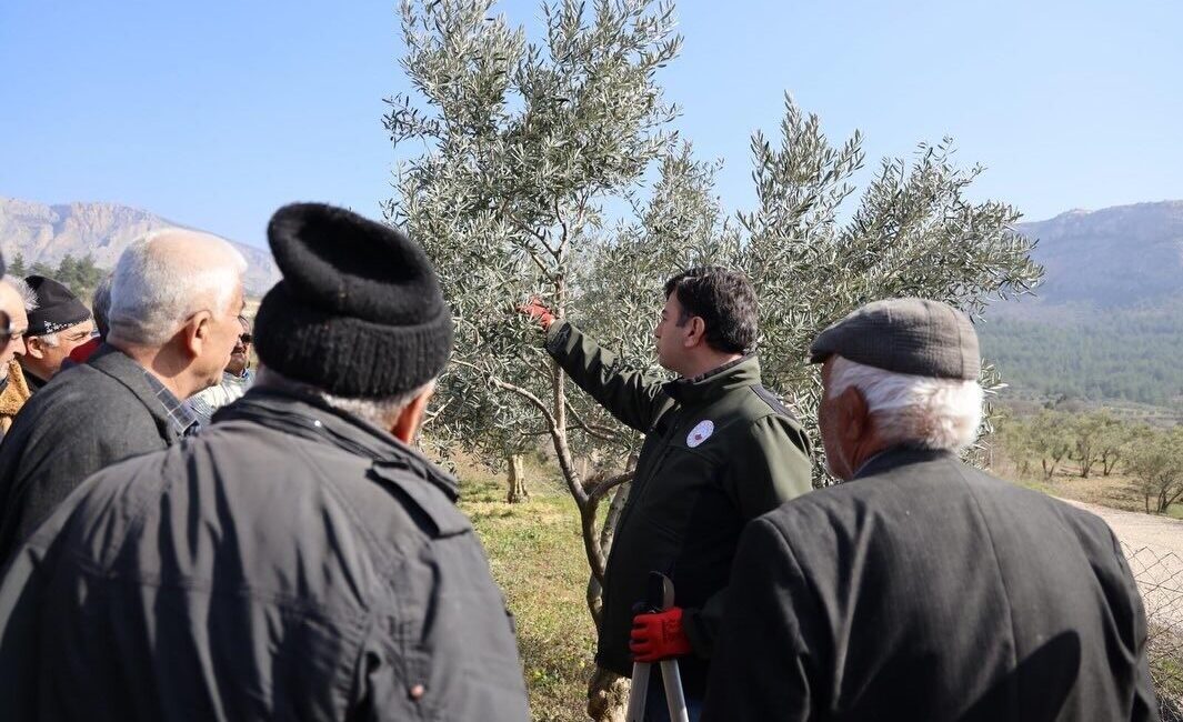 Bilecik’in İnhisar ilçesine bağlı Harmankaya Köyü’nde üreticilere uygulamalı budama ve