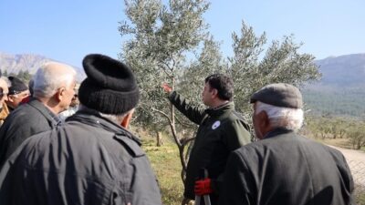 Bilecik’in İnhisar ilçesine bağlı Harmankaya Köyü’nde üreticilere uygulamalı budama ve
